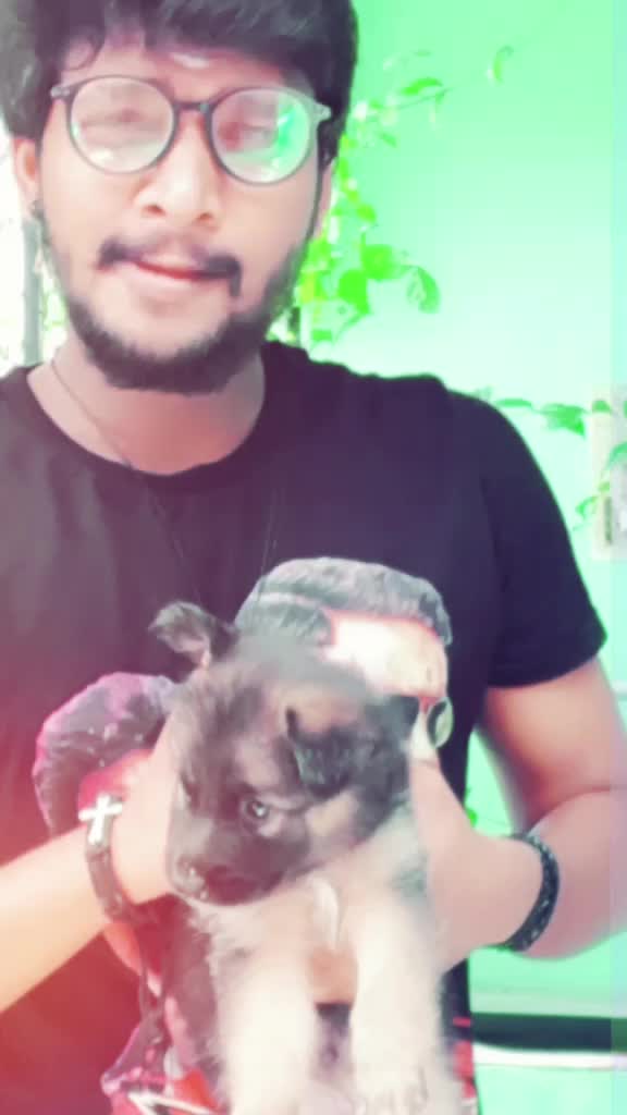 @Tikuboy 🤗