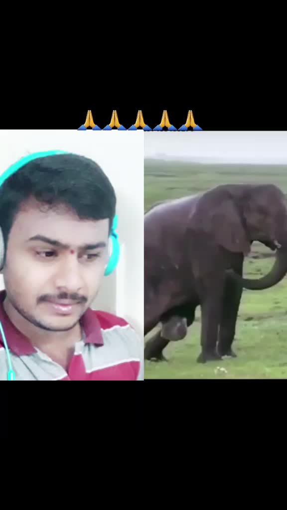 @Amma1432