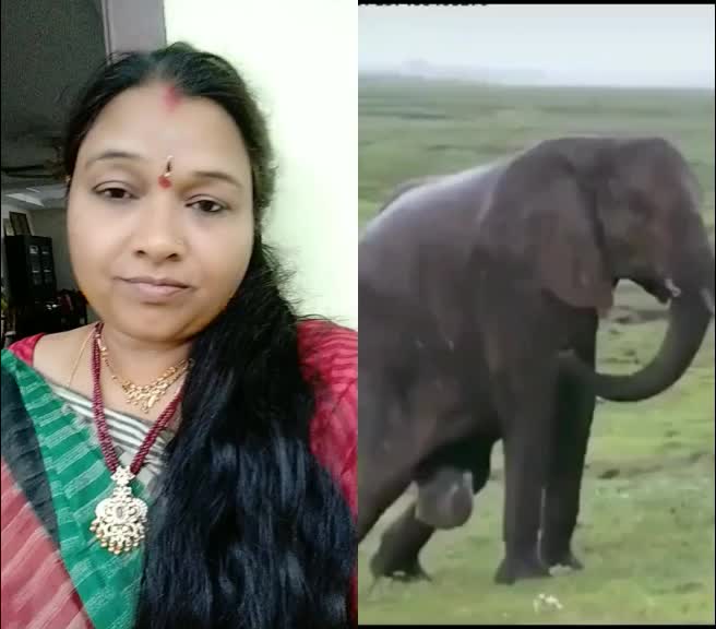 @Srivani Srinivas