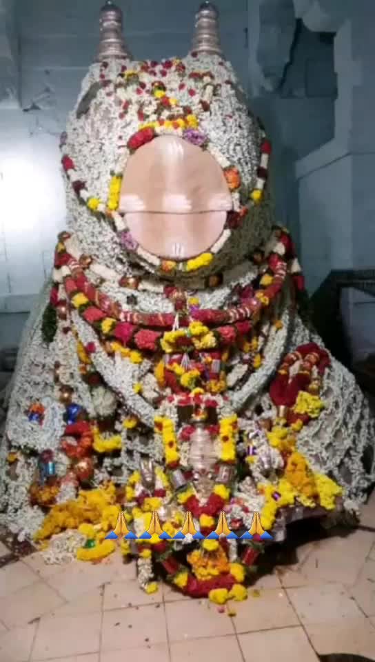 @user53001516660