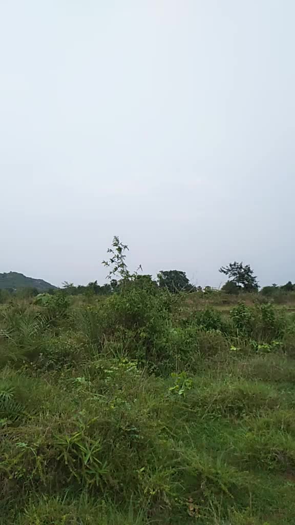 @Ranjan kumar Nayak