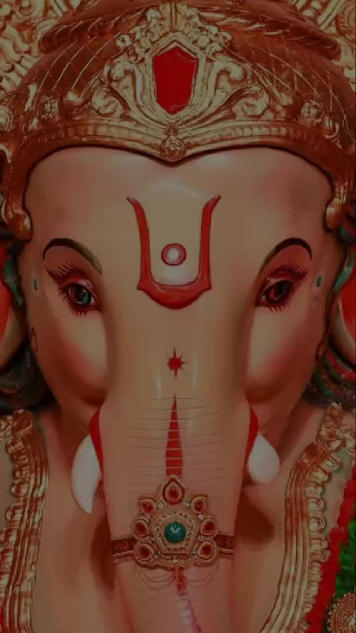 @VIGNHARTA