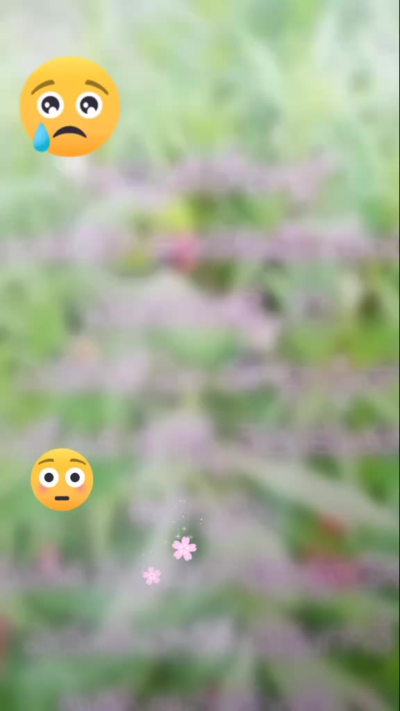 @😍saisiri😍