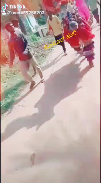 @ಹೂಸೂರು ಹುಲಿ