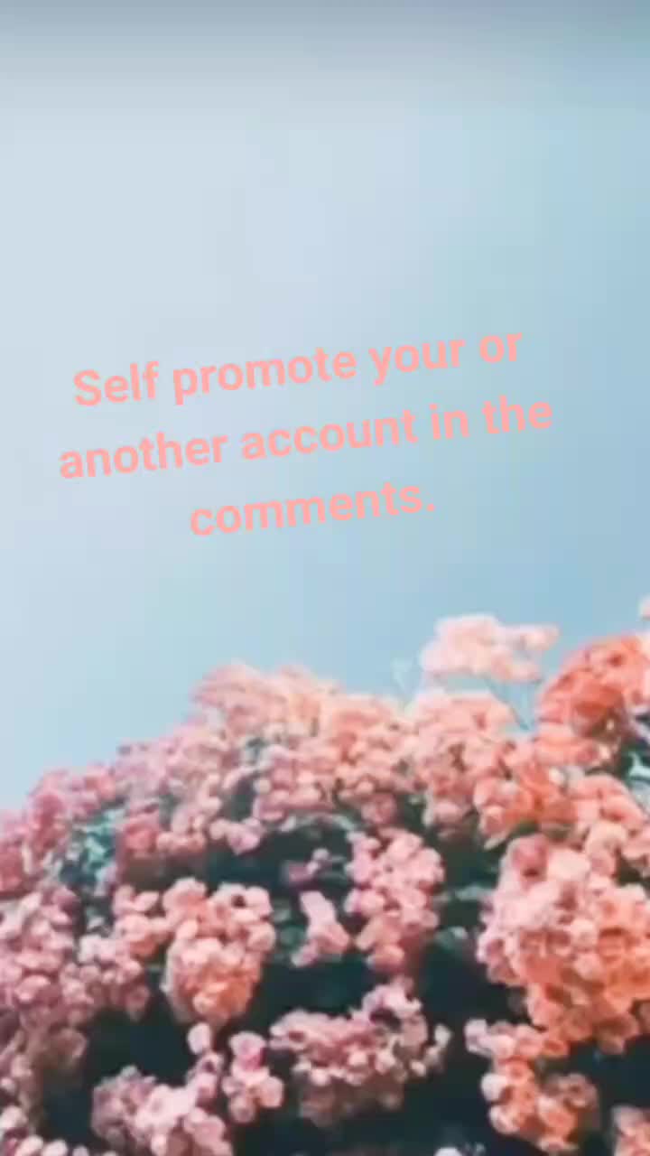 @✨Self promote here✨