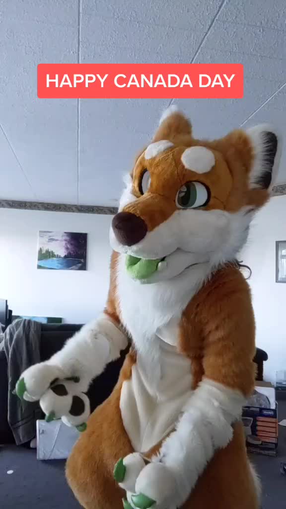 @CookieShiba