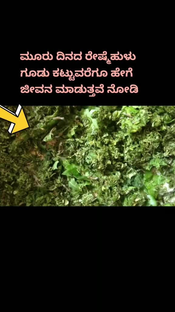 @Girish Bn Gowda