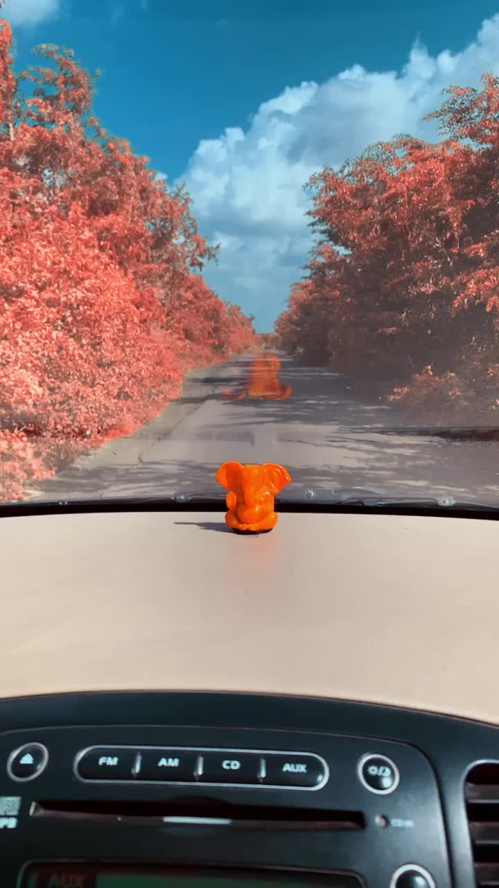 @V A R D H A N