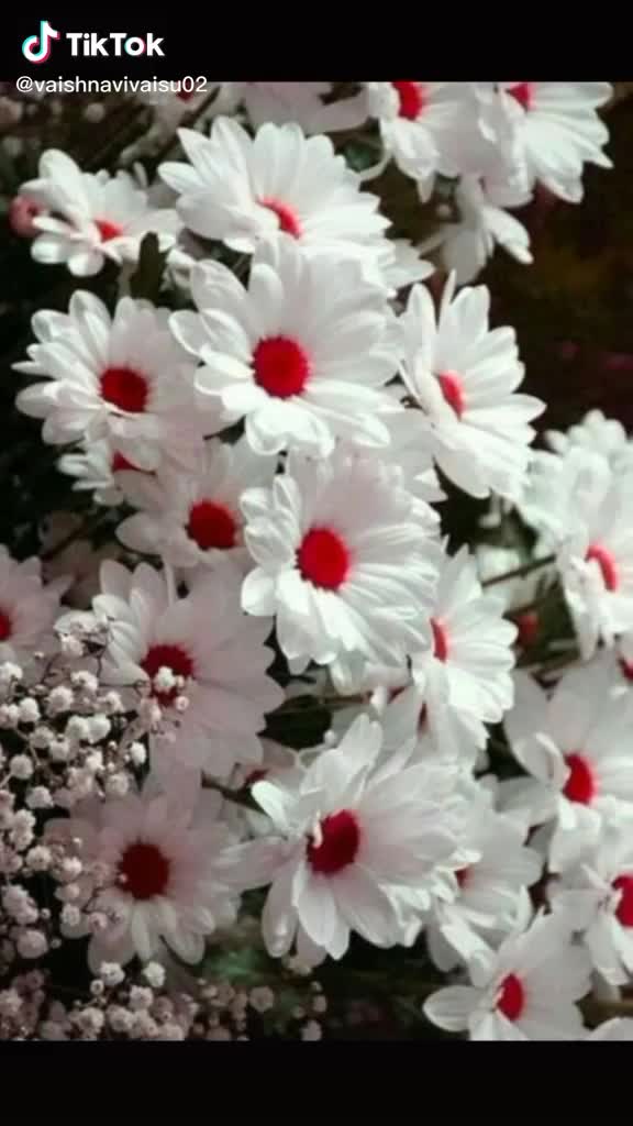@@user8128649507725