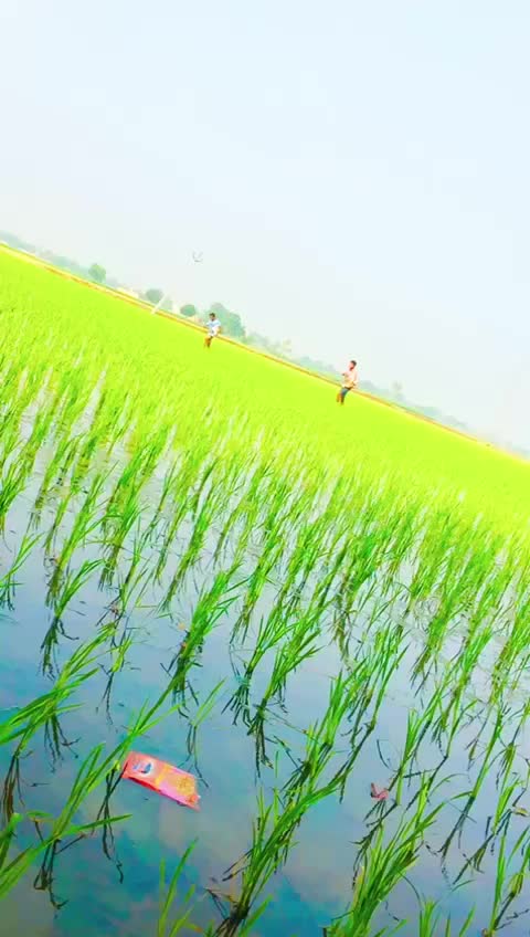 @knt Munda 😍😍
