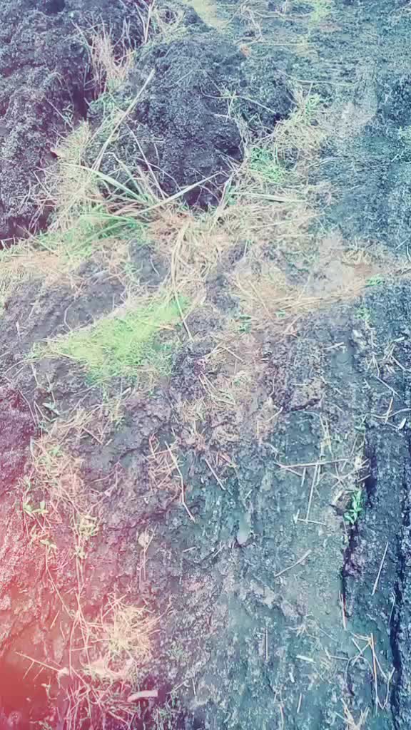 @anas__ 005