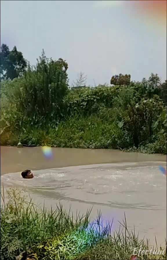 @saifu