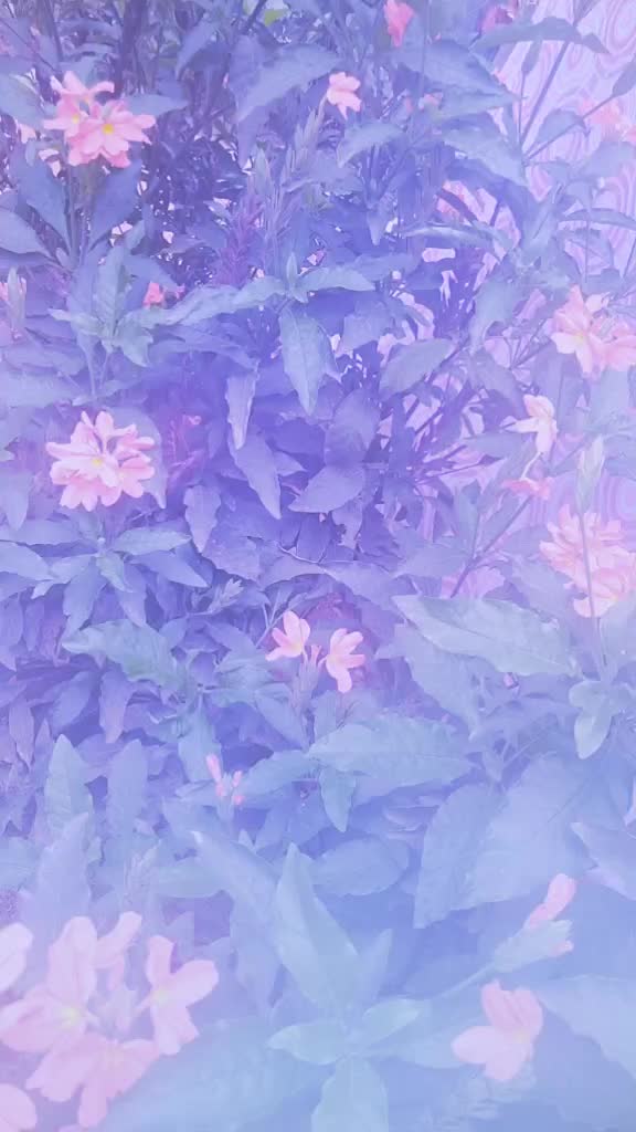 @💖Jyothi Mandya💖
