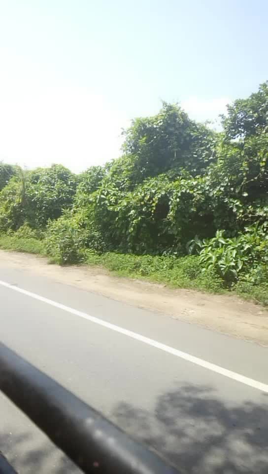 @warangalpilla