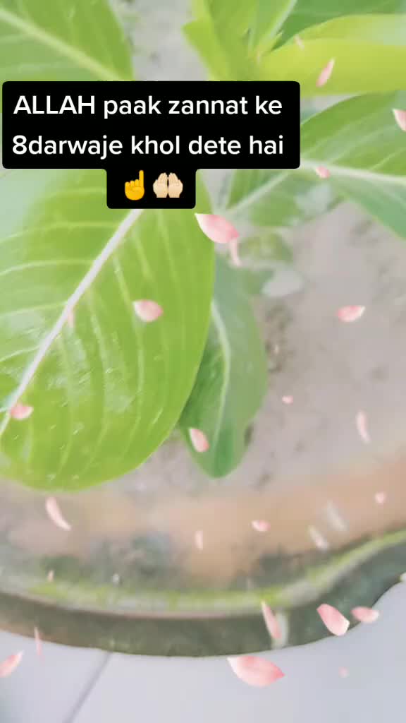 @•MAHI•