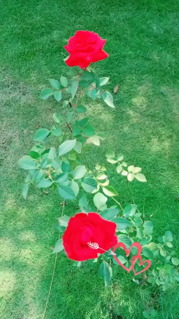 @Meenukutti 10