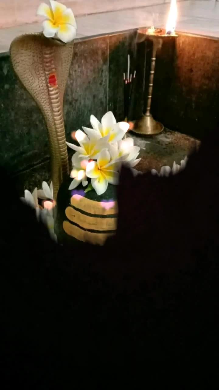 @sasmita