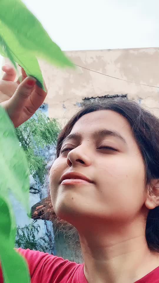 @Meghana Bachewal
