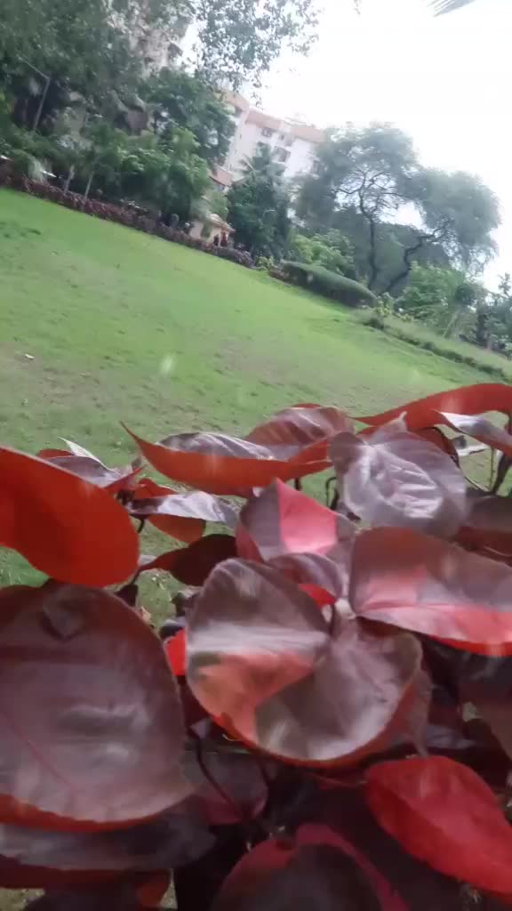 @naaz910201