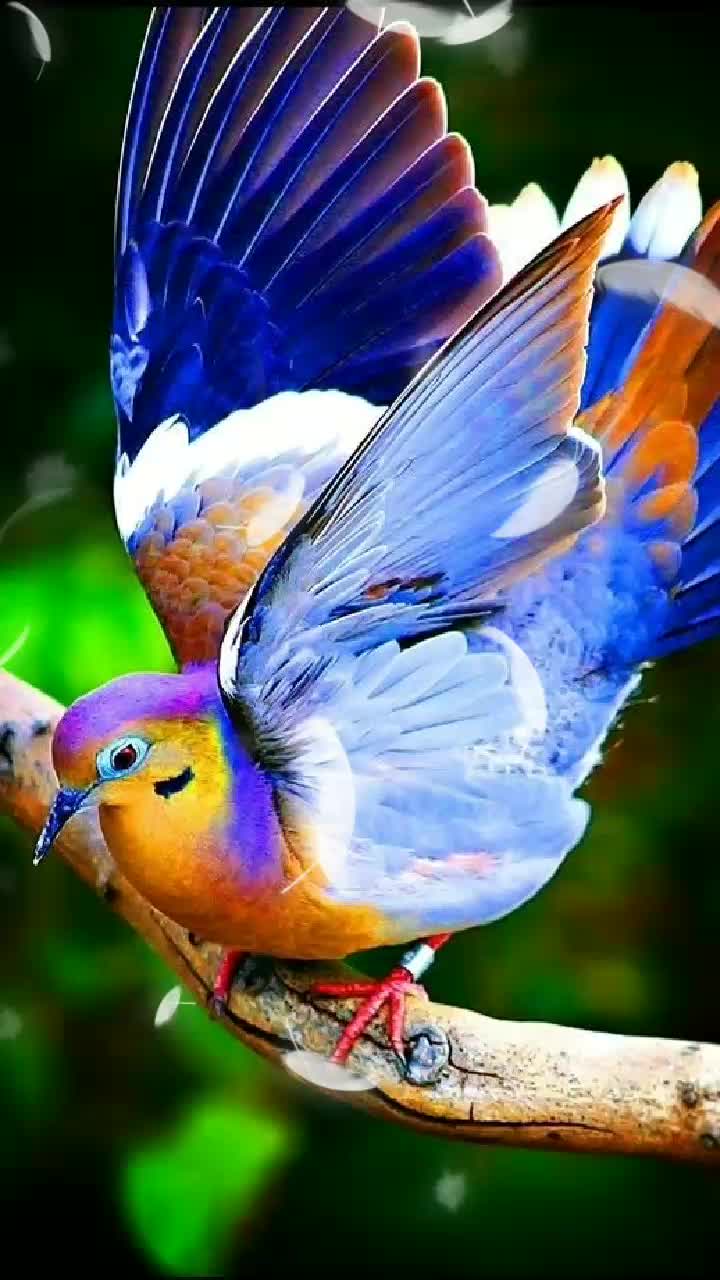 @attitudegirl_45