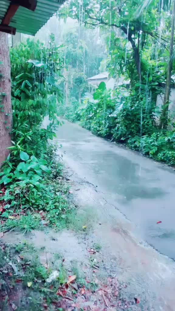 @mumpi Roy 284