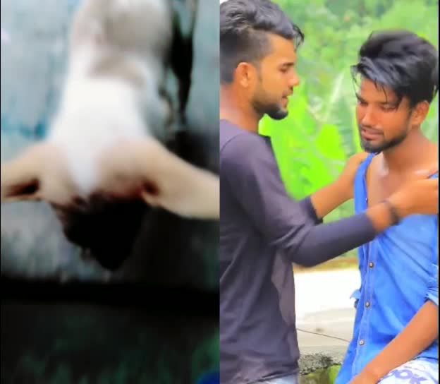 @kiransk