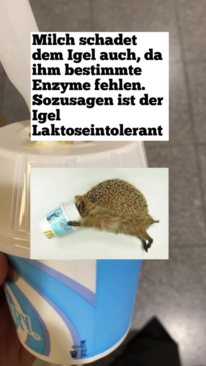 @psychologe.etrit