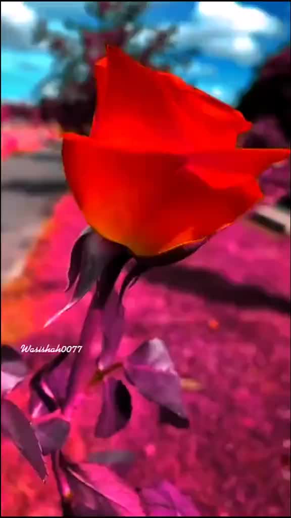 @Mr.._Bindas_Boy_G