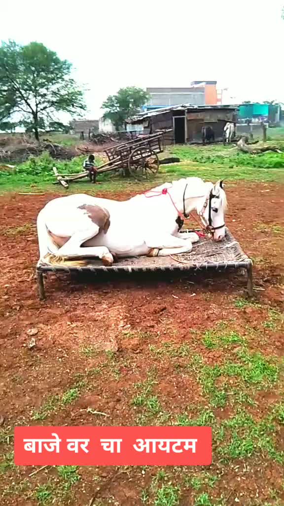 @@ajinkypatil123