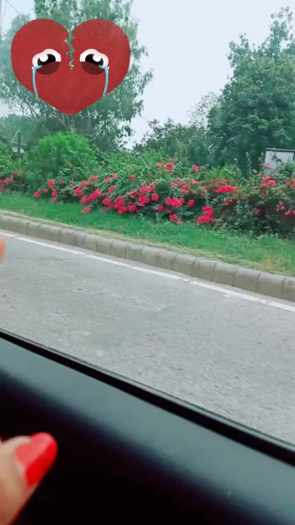 @komal Sharma🥰🥰🥰