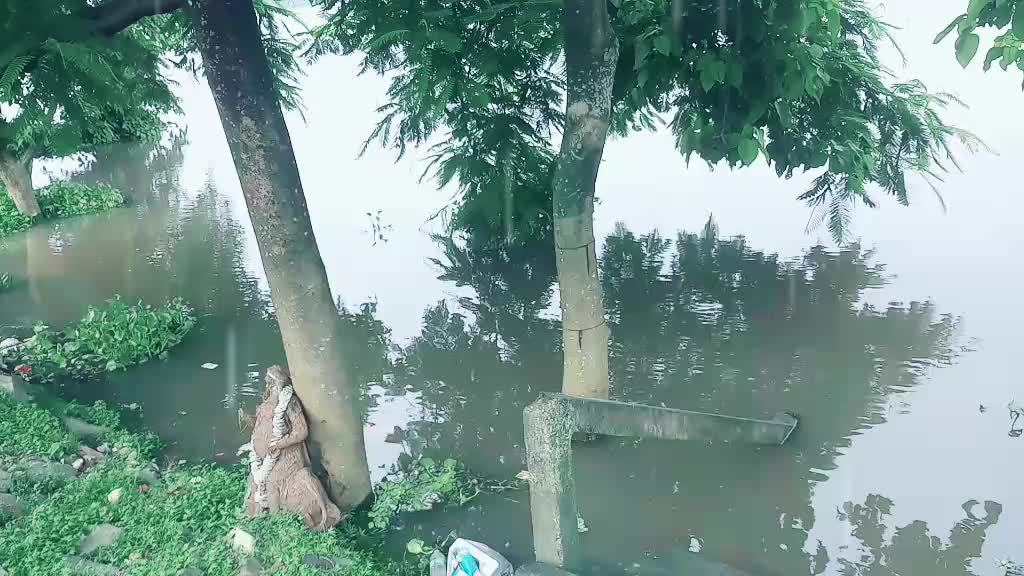 @sangita vishwakarma
