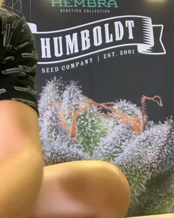 @Hembra Genetics