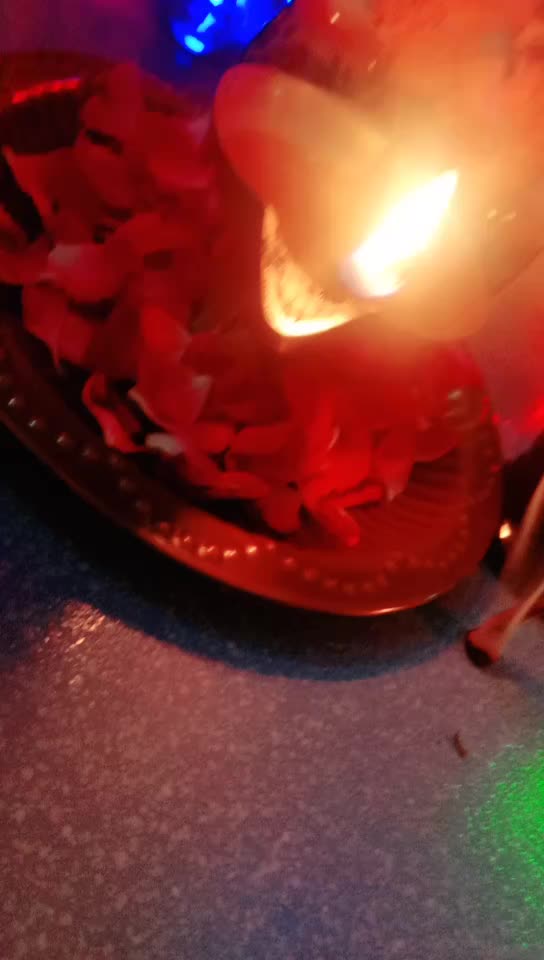 @Janvichotala03