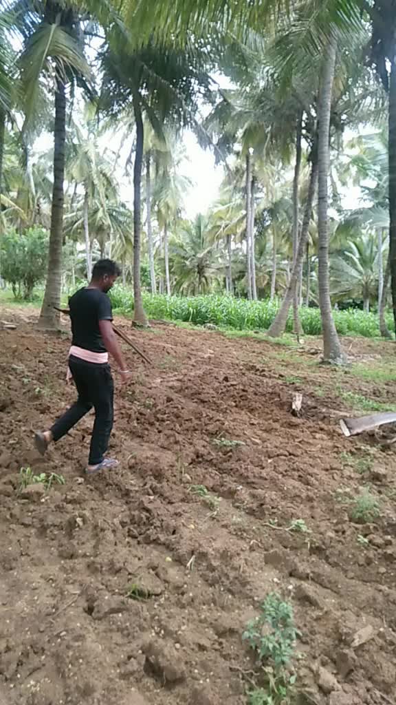 @Putta Raju