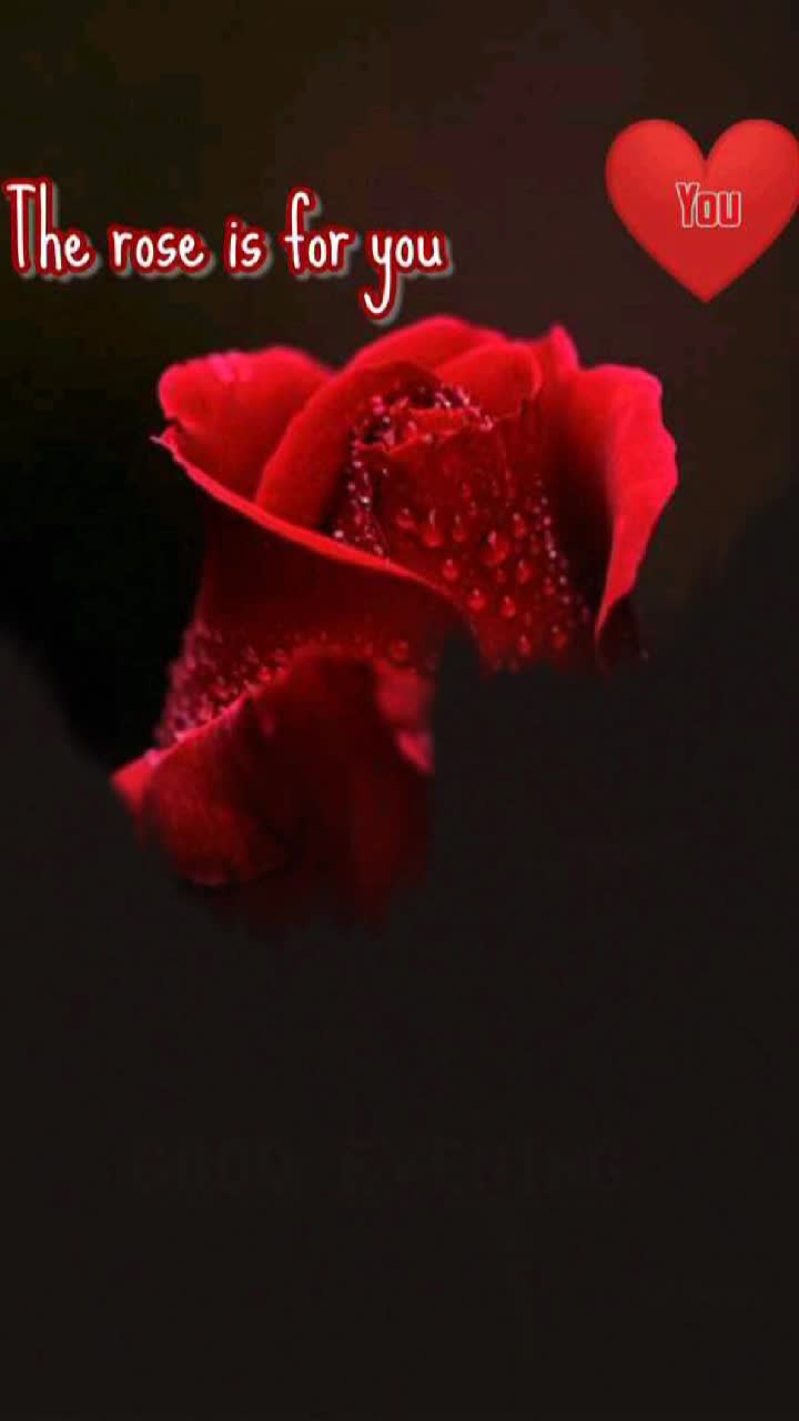@Barnali Basak