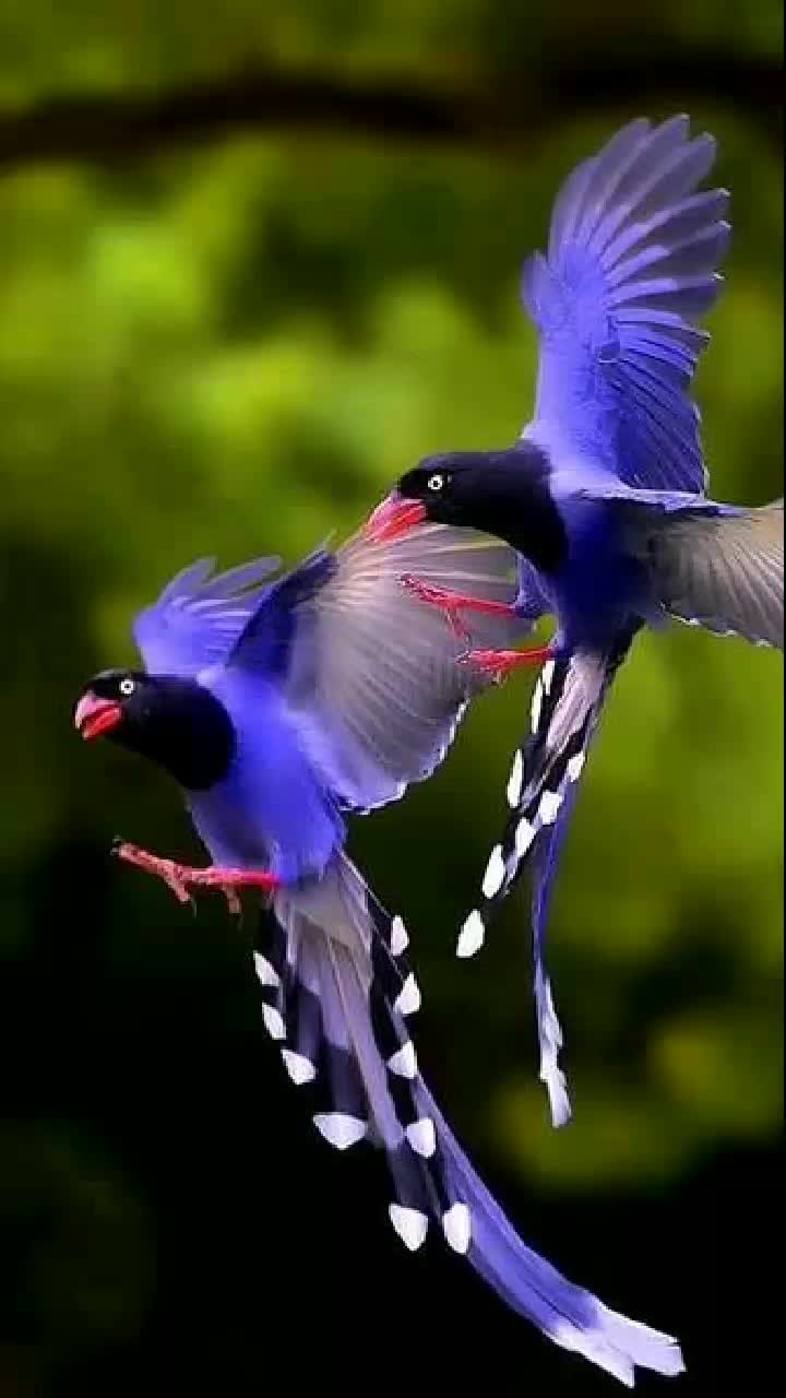 @attitudegirl_45