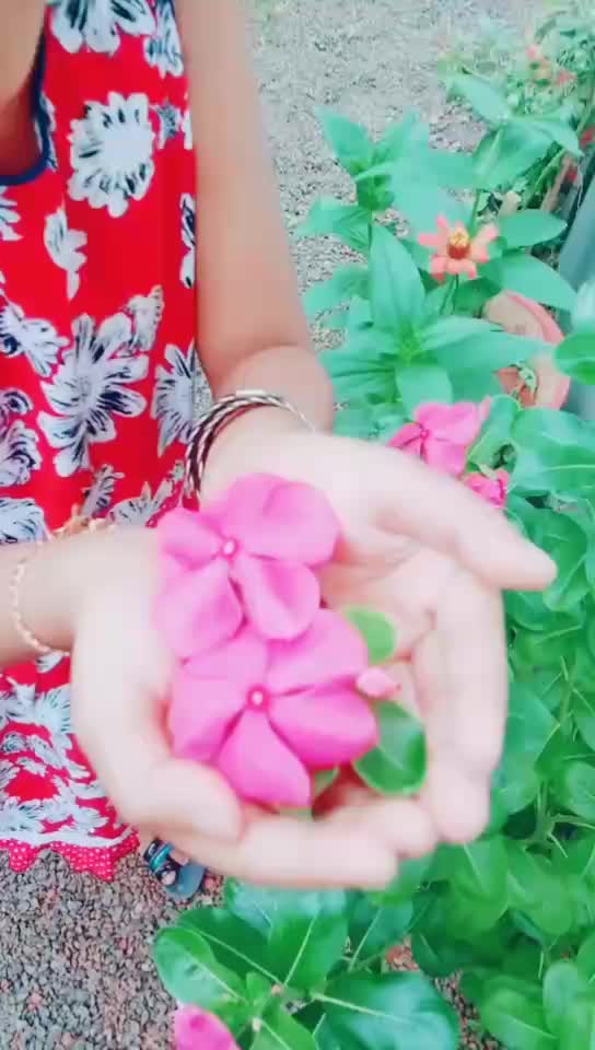 @Rajesh Calicut