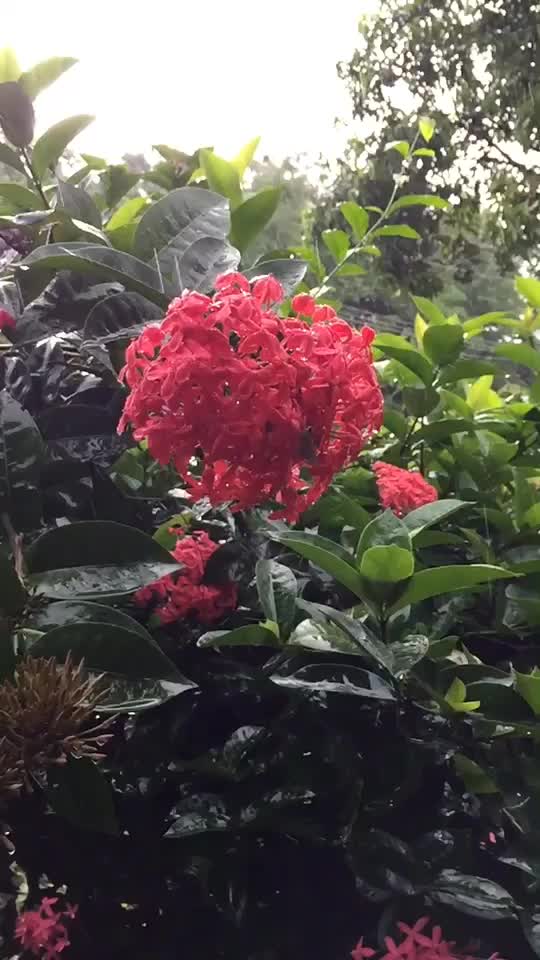 @Byju369