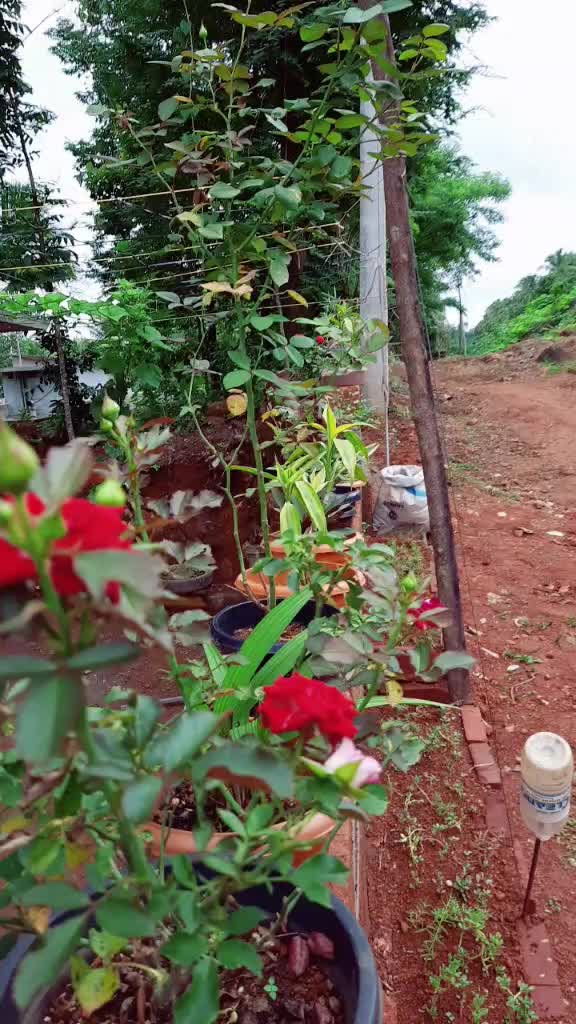 @Sujith Kuttan