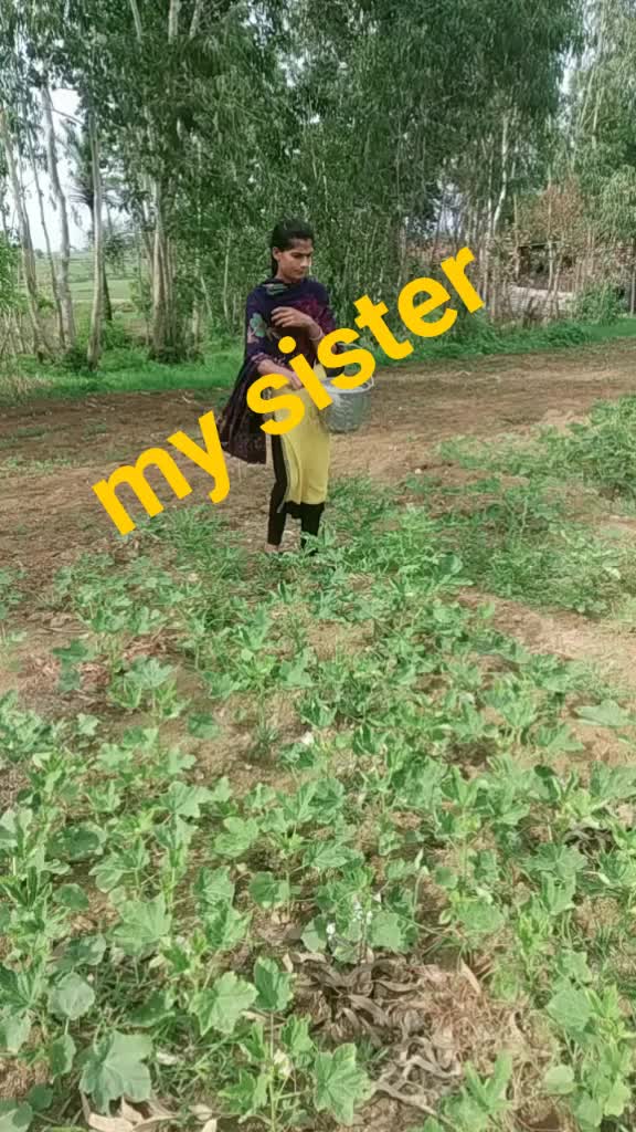 @bhai bahan