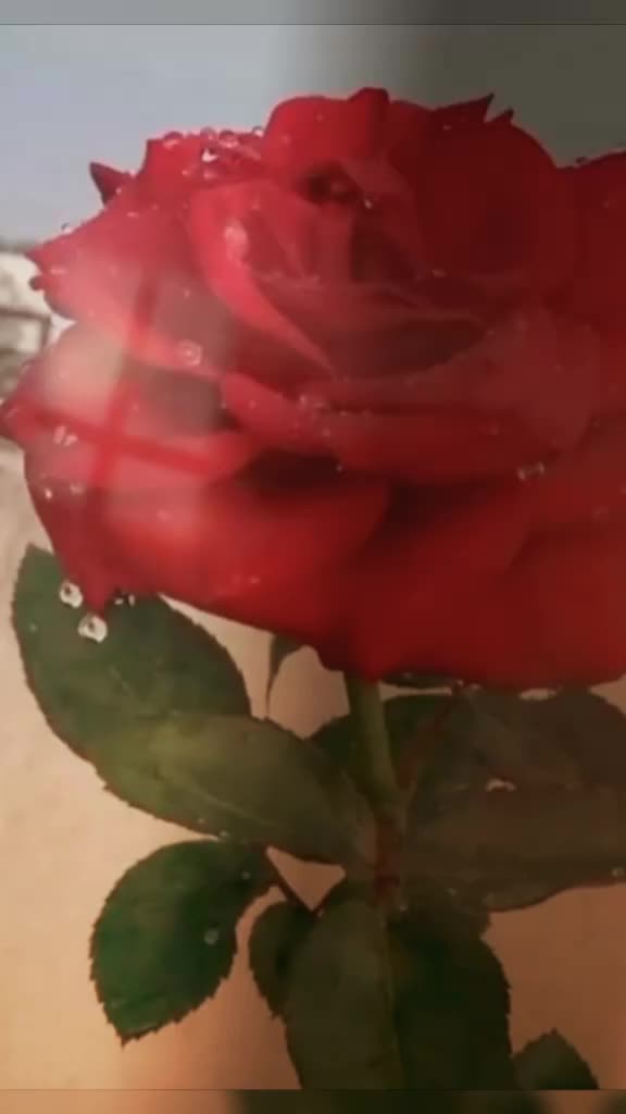 @Nilu Gupta