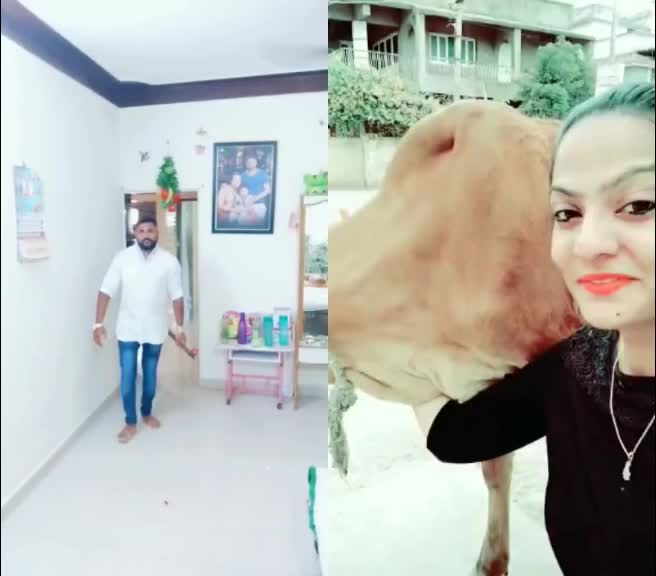 @દેવગન રાયકા છેલાણા