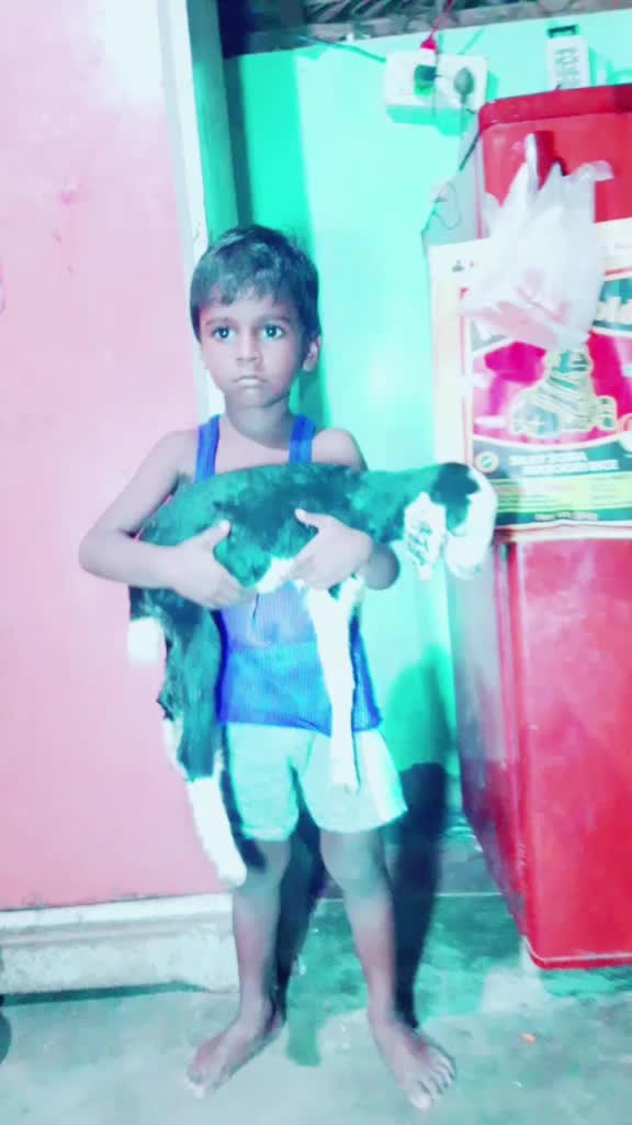 @Vijay Dharshan