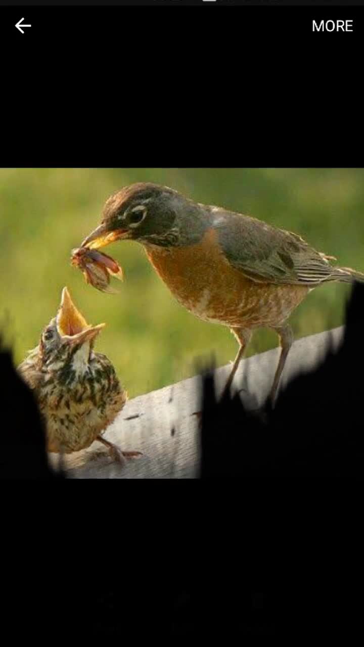@@hari..siddu