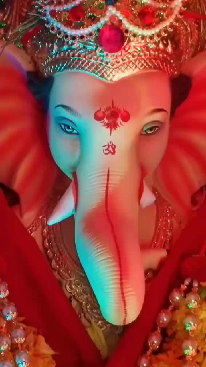 @Dimple Vaishnav