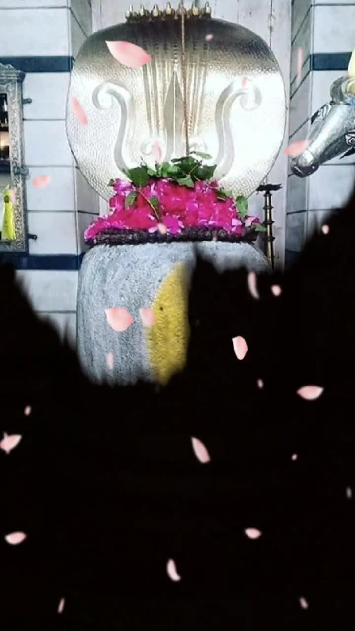 @nehuu