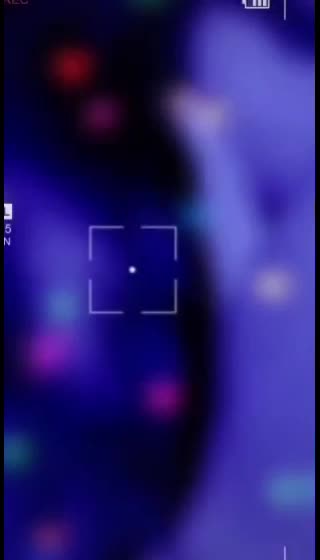 @user58294862305