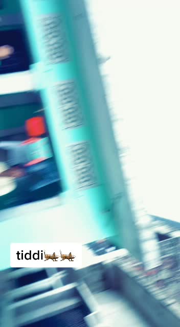 @qamrul hasan siddiqi