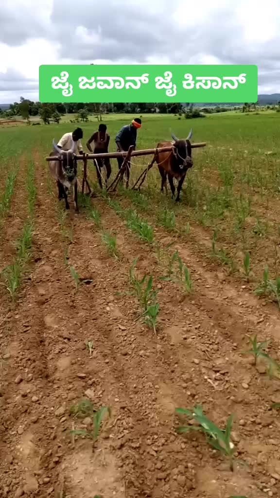@ಪ್ರವೀಣ್ ಶಿಕಾರಿಪುರ