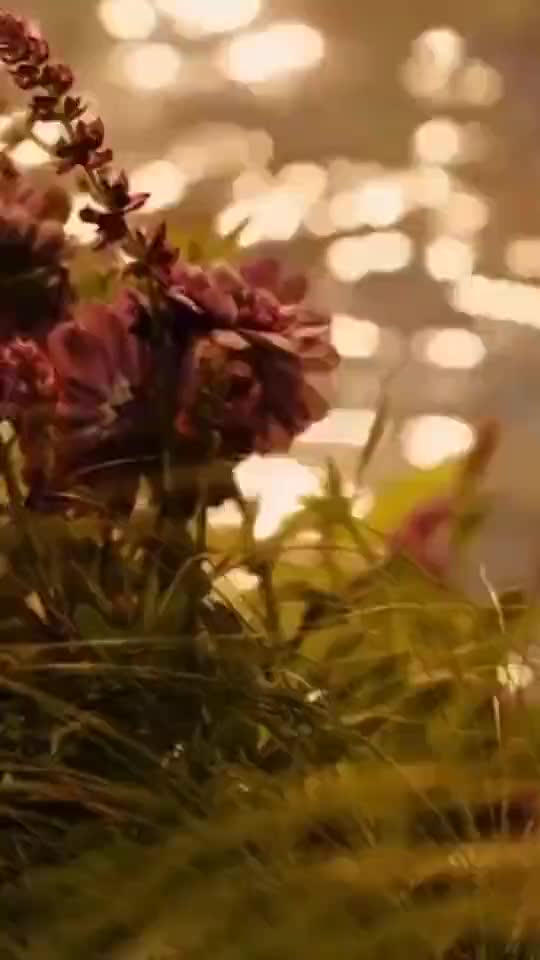 @achuaswathi